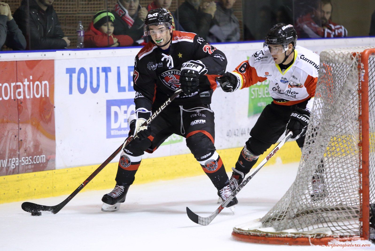 Ligue Magnus : le bilan à la trêve (2/2)