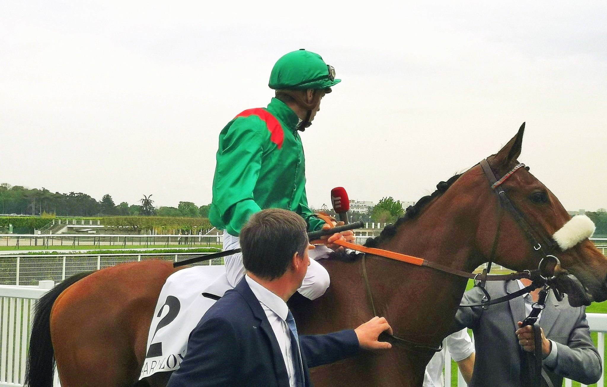 Siyarafina : Une peinture dans le ‘Louvre’