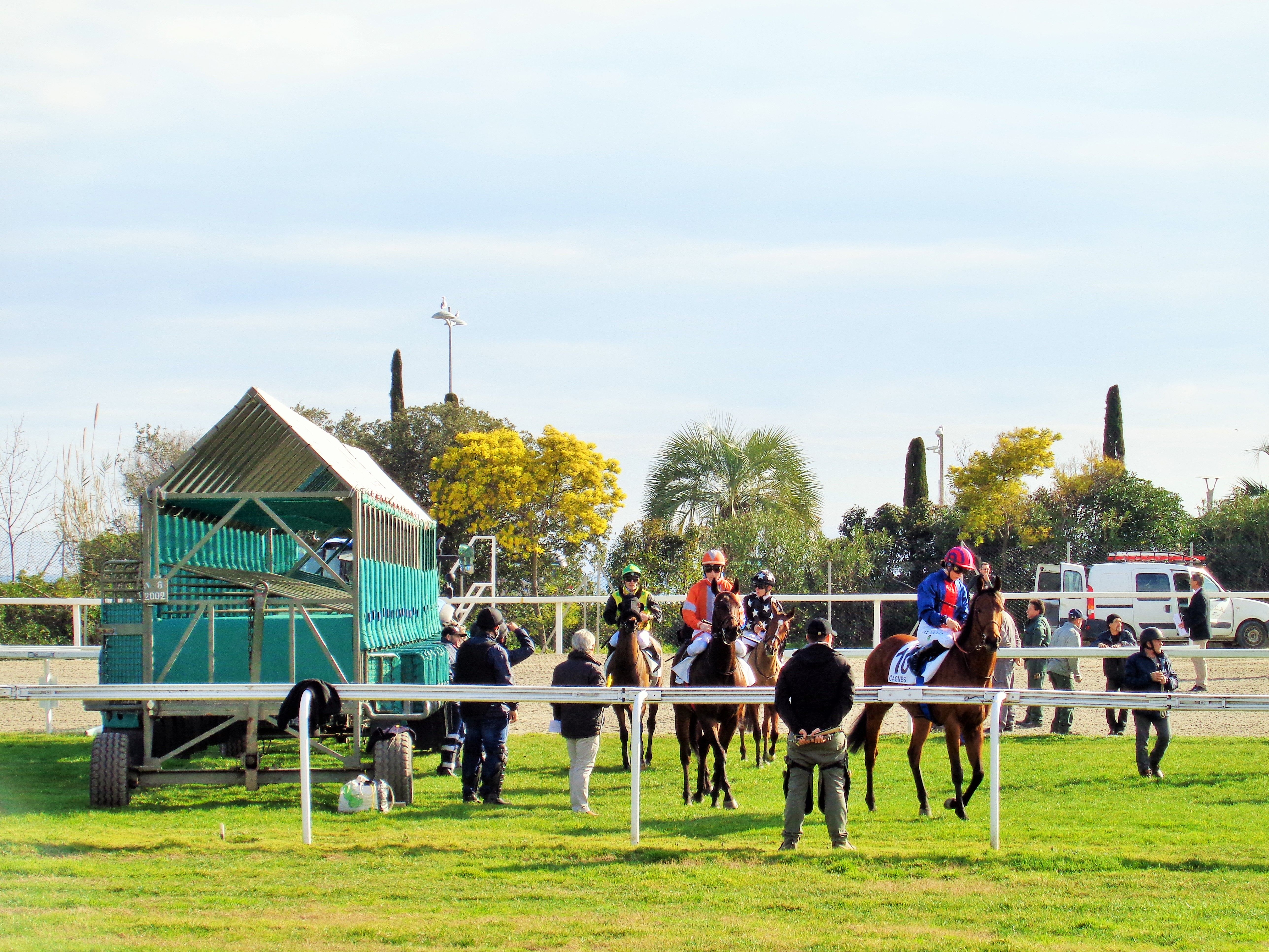 Mes hippodromes préférés