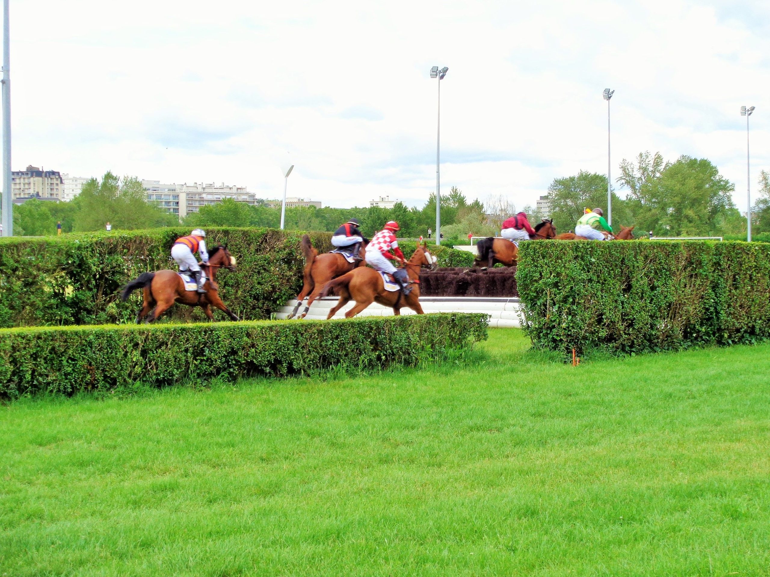 Orléans : une ville sportive et hippique !