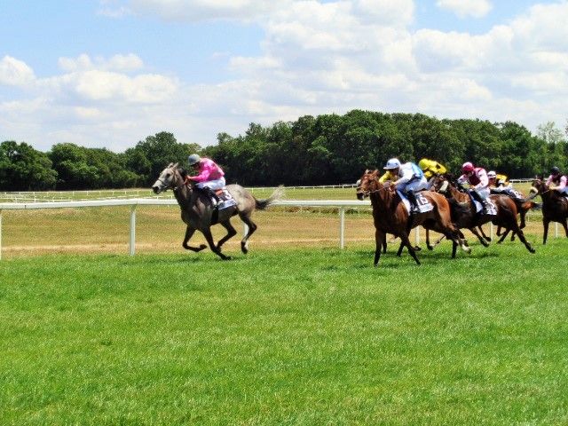 Senonnes-Pouancé : Son Eglise, son centre d’entrainement et son hippodrome