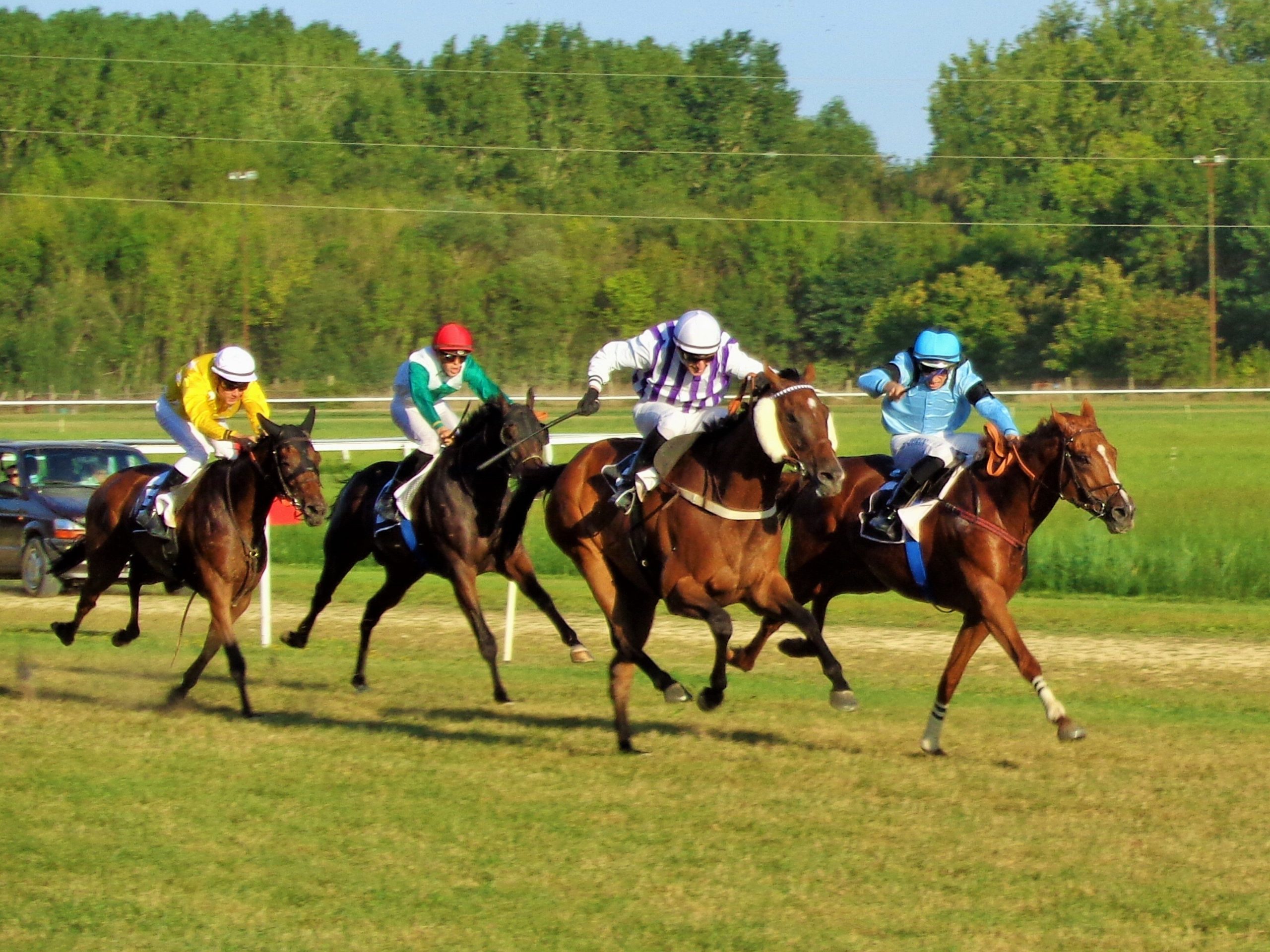 Tel père, tels fils !
