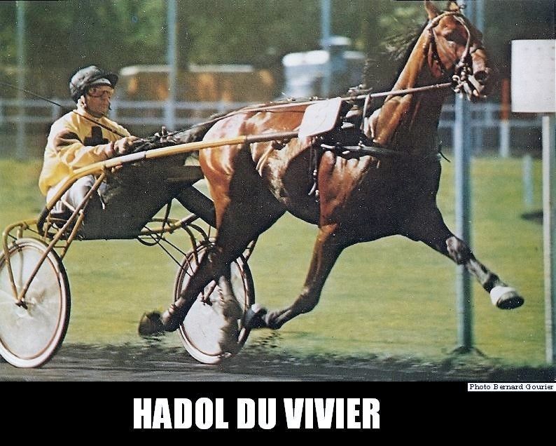 Bébés trotteurs
