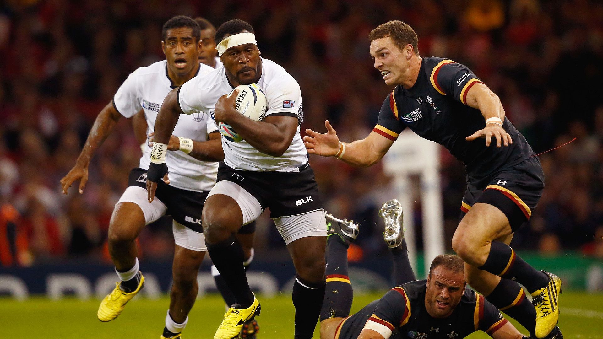 Un jour, une poule – Poule D : Ménage à trois en perspective…