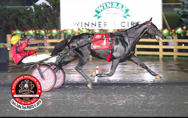 Bold Eagle : il l’a fait !