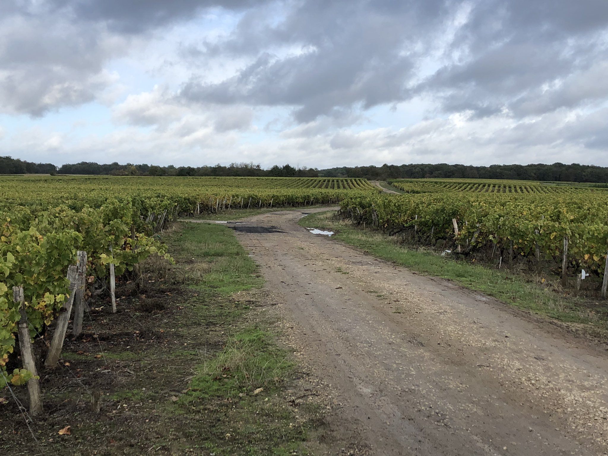 Présentation de la Classiques des feuilles mortes (et des vignes) : Paris-Tours