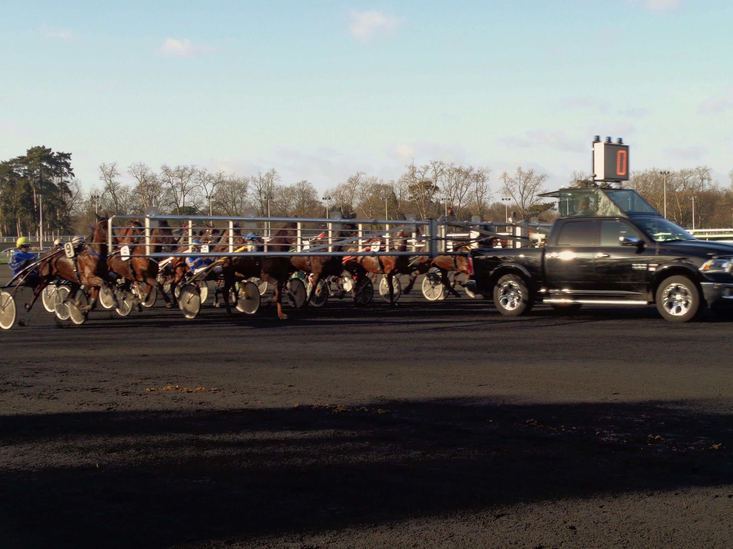 Une semaine qu’hippique: 19/12/ 19 au 25/12/19