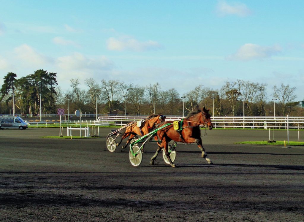 Course de trotteurs à Vincennes après un faux départ 