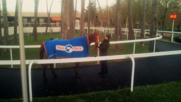 Une semaine qu’hippique: 05/12/ 19 au 11/12/19