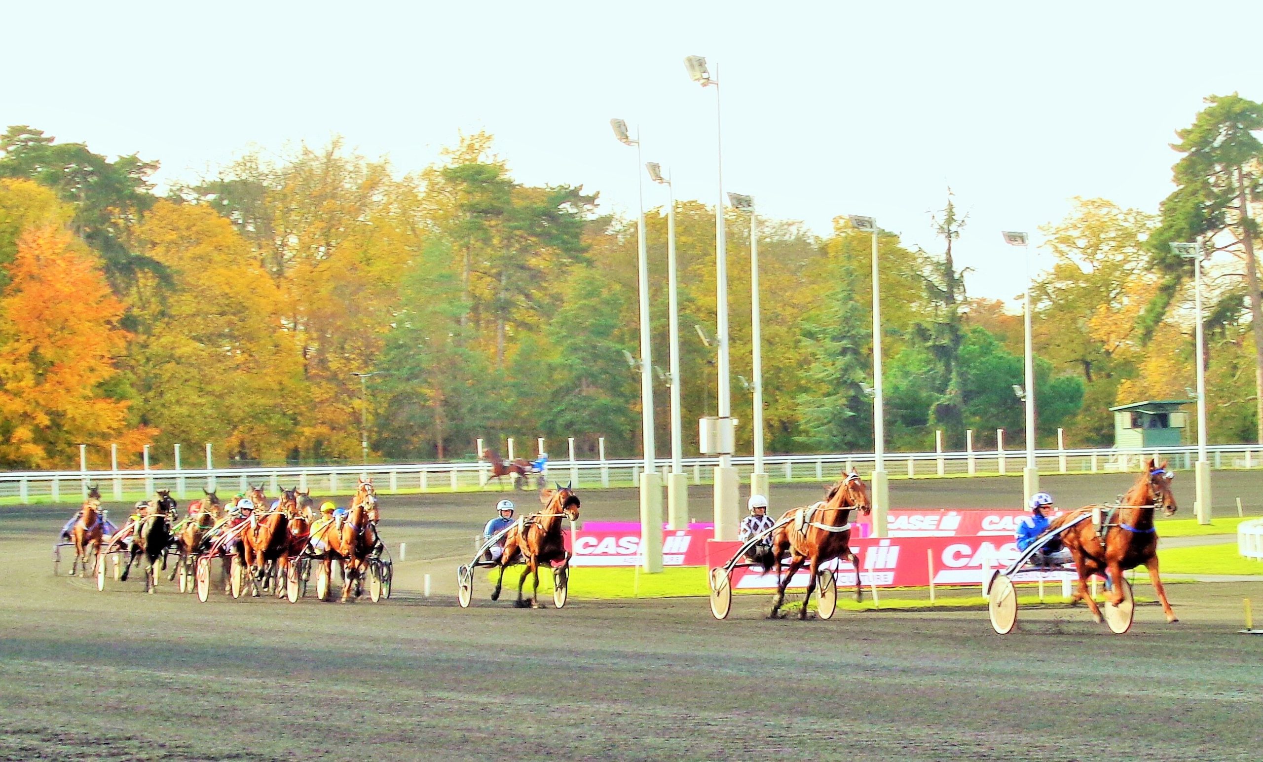 Une semaine qu’hippique: 09/01/20 au 15/01/20