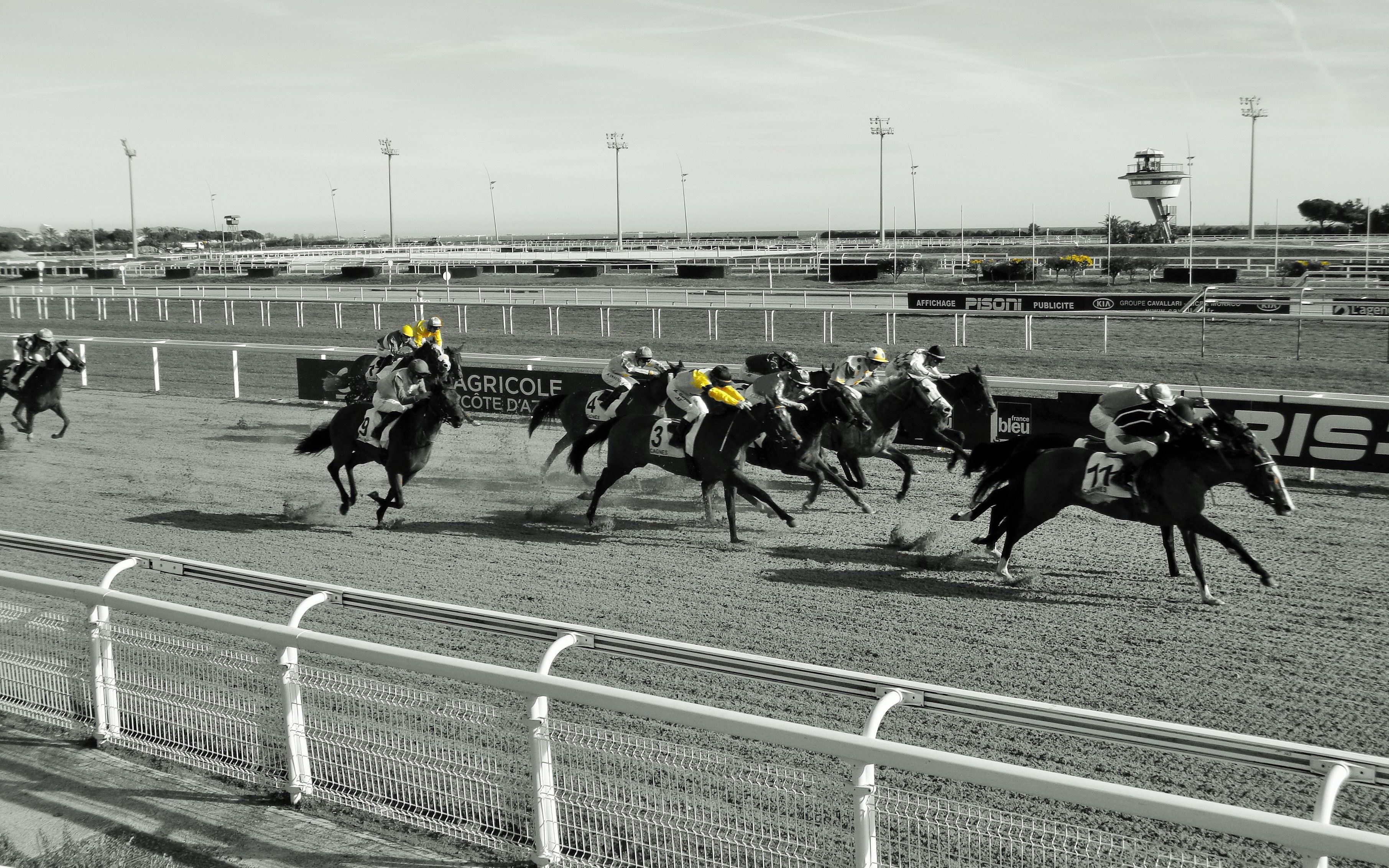 Une semaine qu’hippique: 23 Janvier au 29 janvier 2020