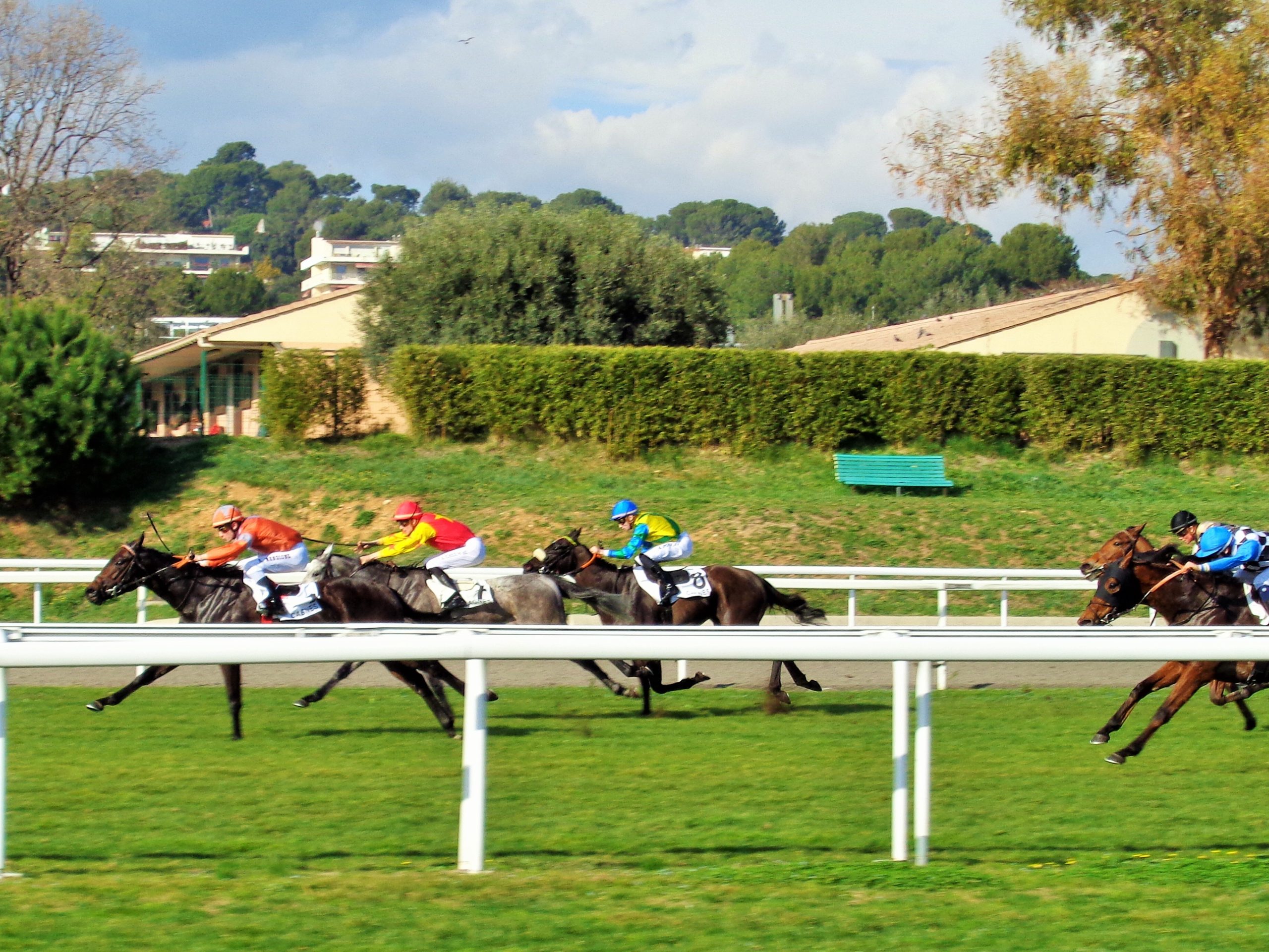 Une semaine qu’hippique à Cagnes-sur-Mer: 31 Janvier au 5 février 2020