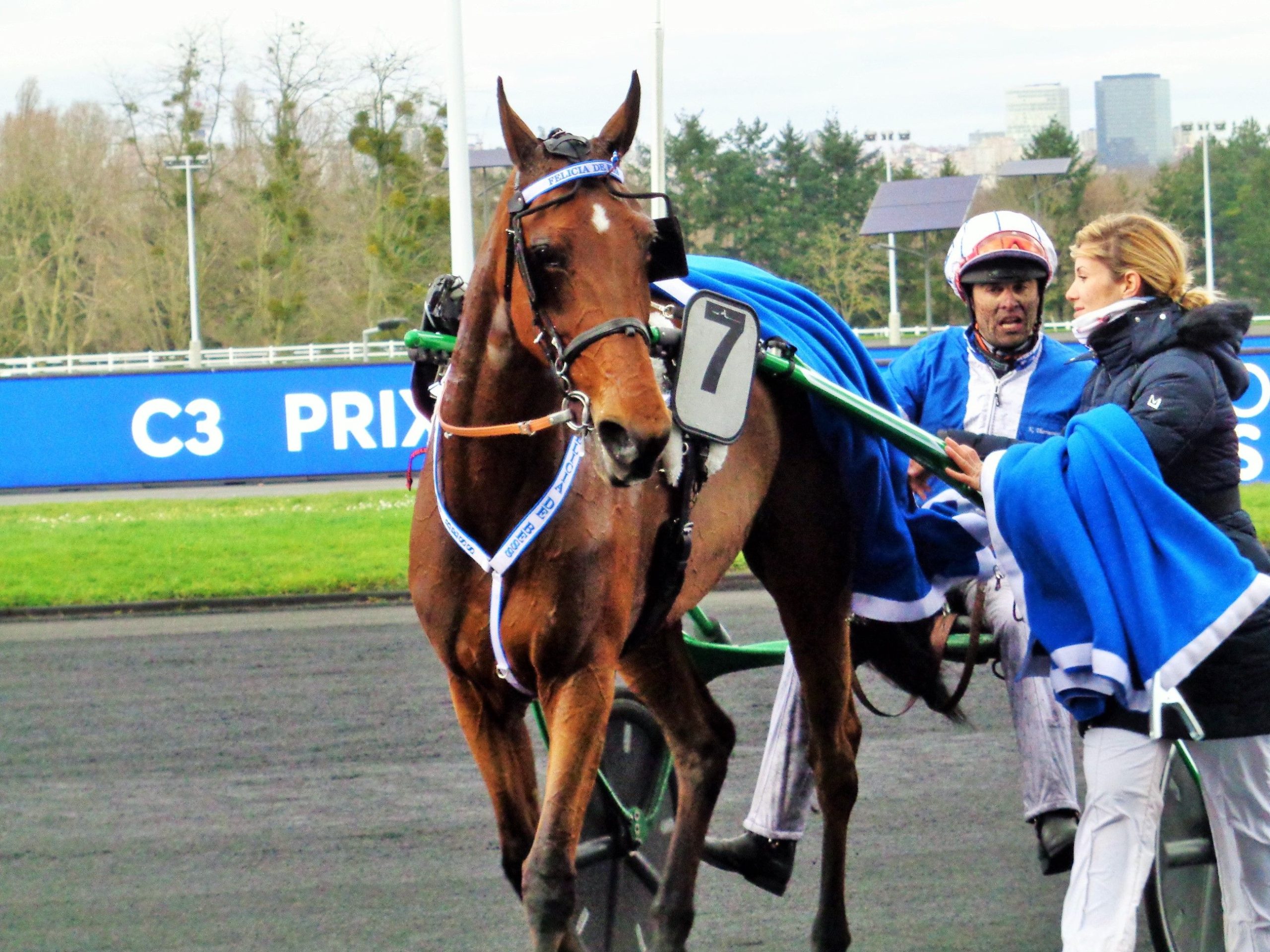 Une semaine “qu’hippique” : 27 février au 04 mars 2020