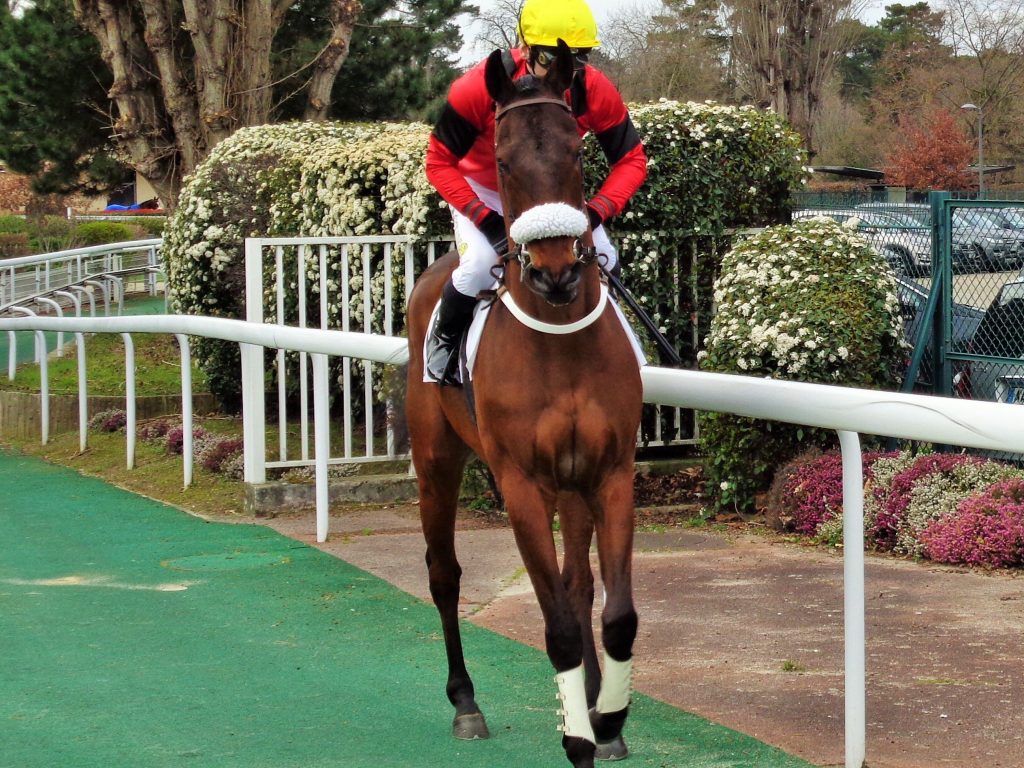 Cheval de course