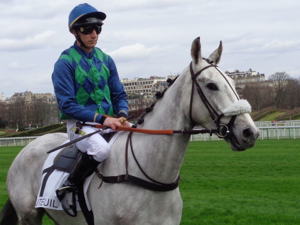 Cheval de course