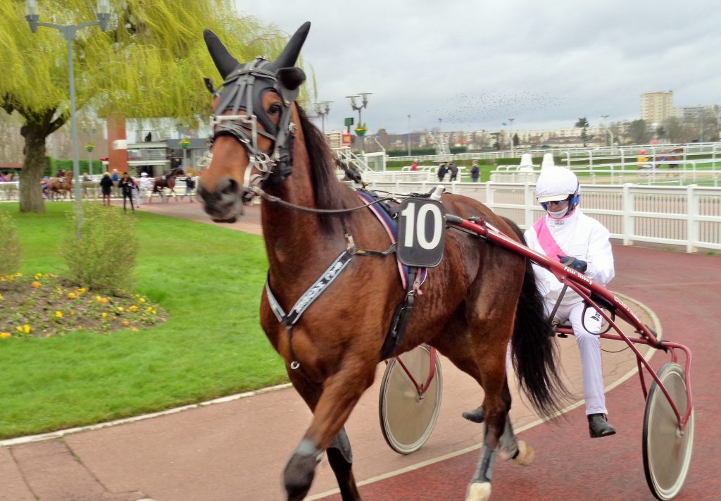 cheval de course