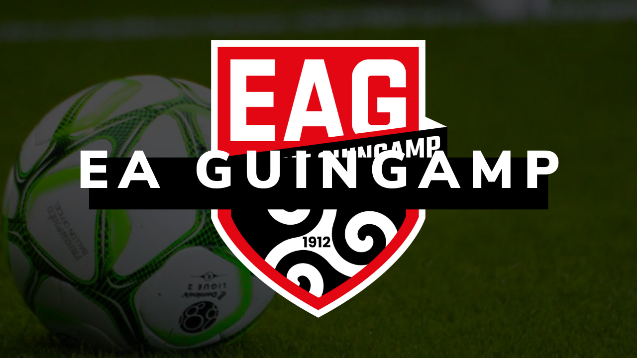 En Avant Guingamp : Une saison moyenne et trop irrégulière