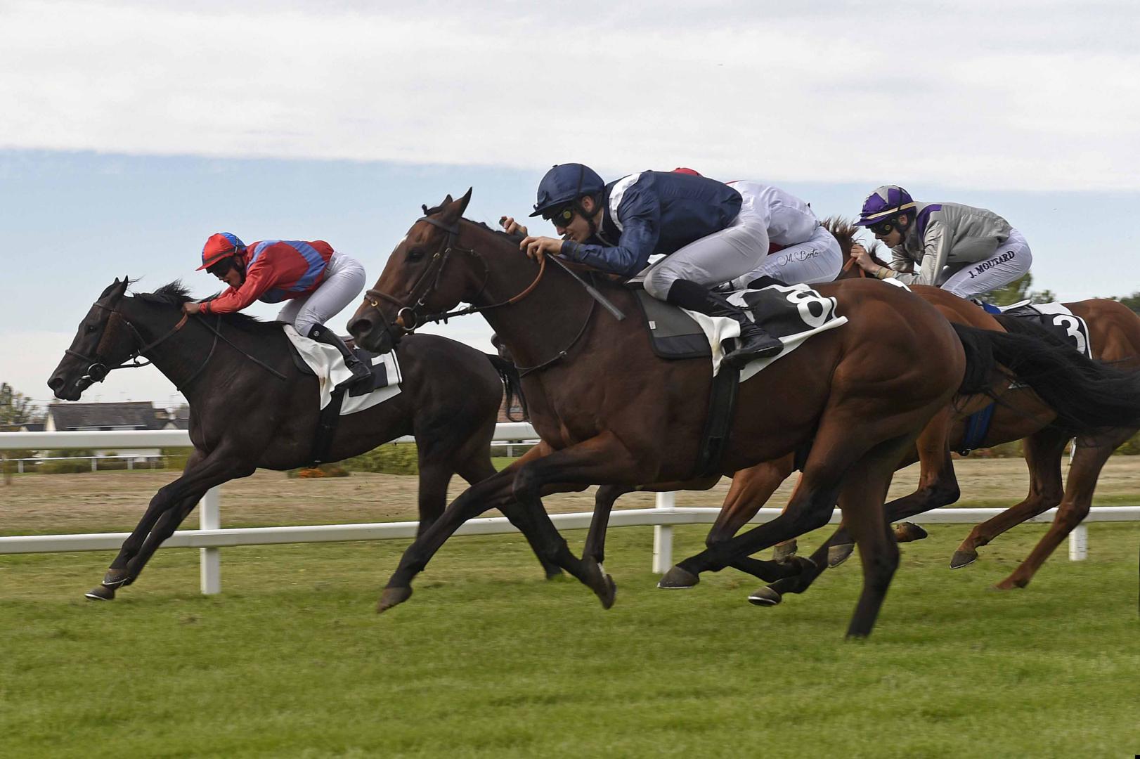 P.M.U. : reprise des courses hippiques Françaises.