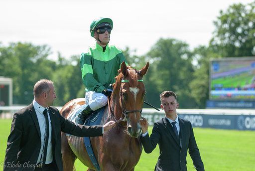 Année 2020: entre parenthèses, 2021: en espoir-