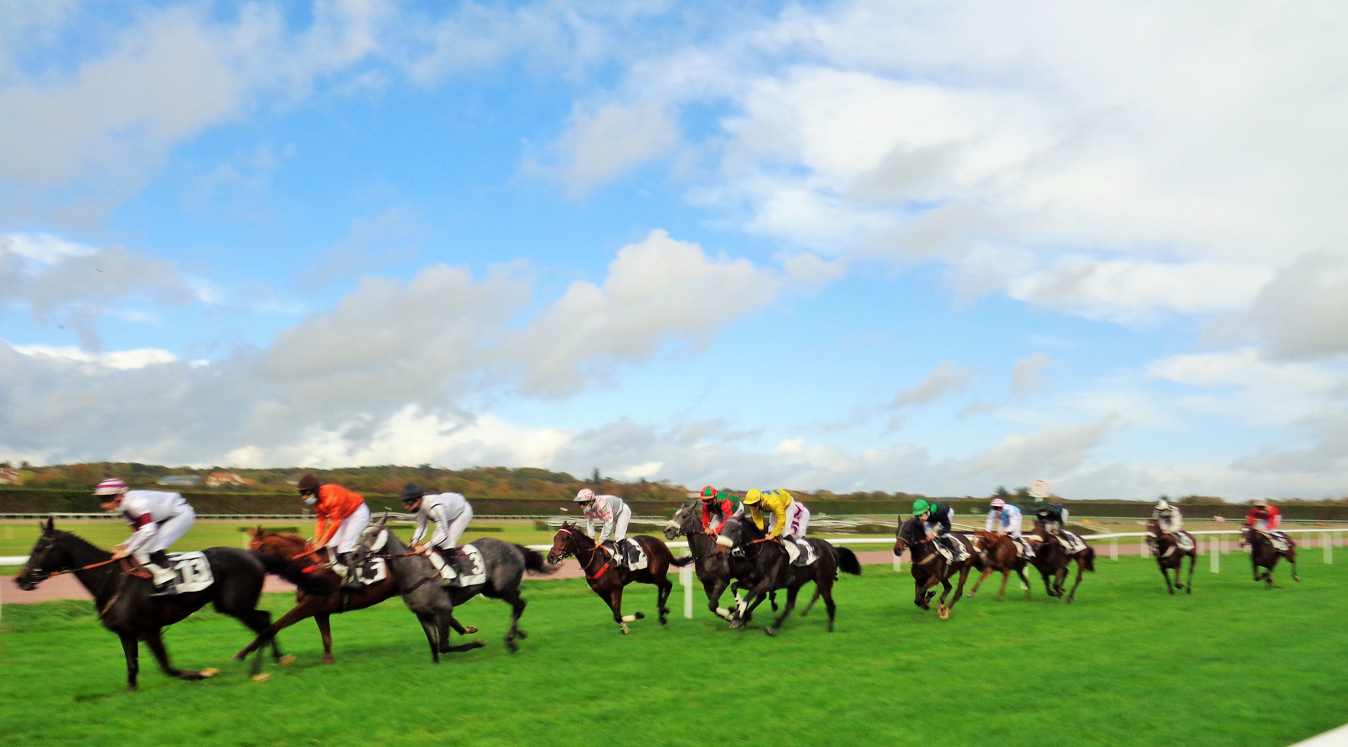 À la découverte de nouveaux talents hippiques (épisode 9 )