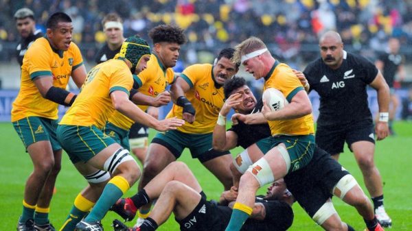 Rugby Championship : l’Australie prend sa revanche et s’offre les All Blacks