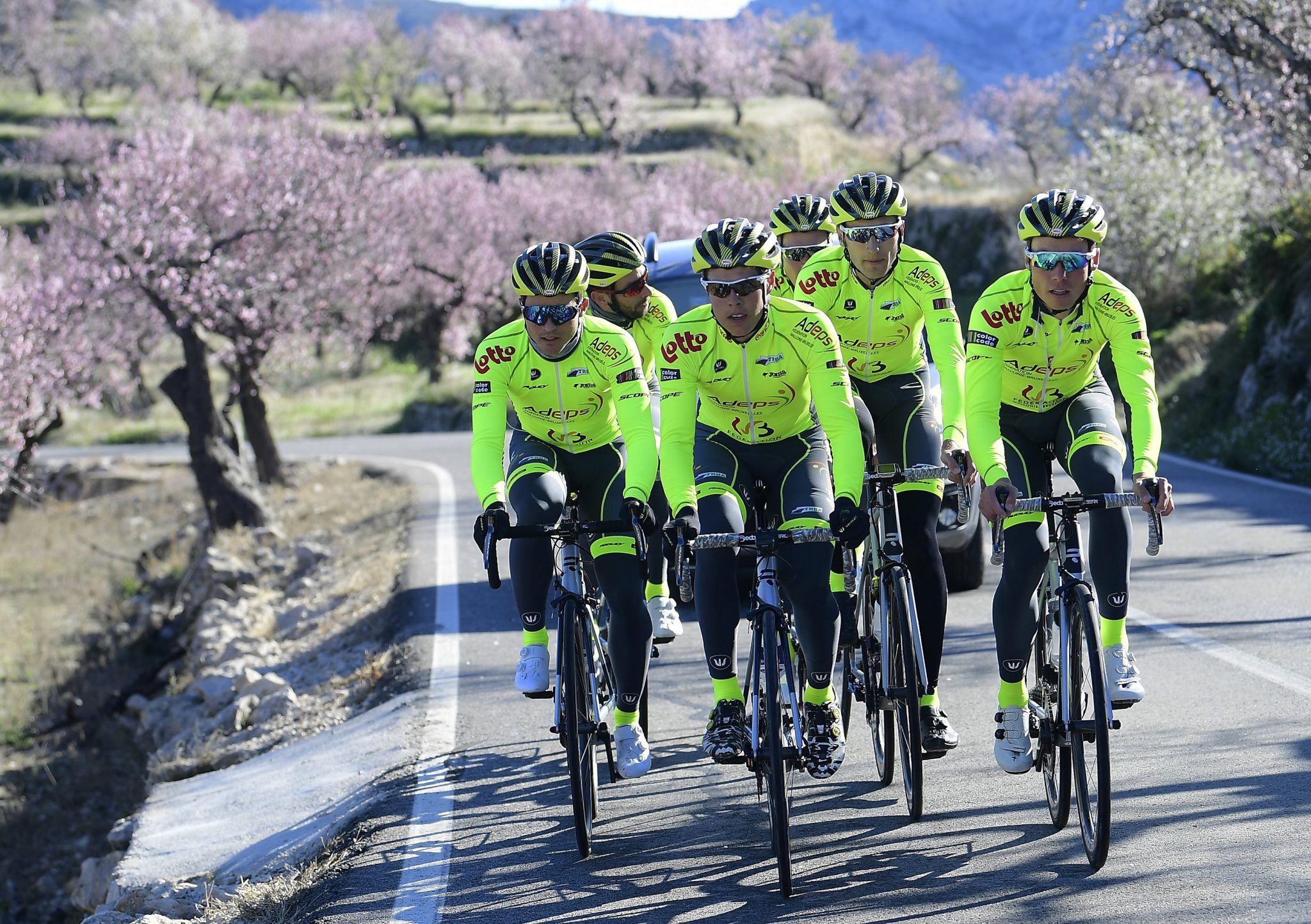 Bingoal Wallonie Bruxelles : le top-flop de la saison