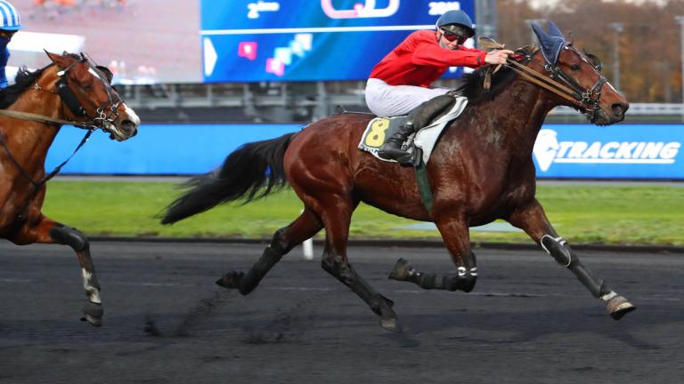 Prix du Cornulier 2021 : ma sélection.