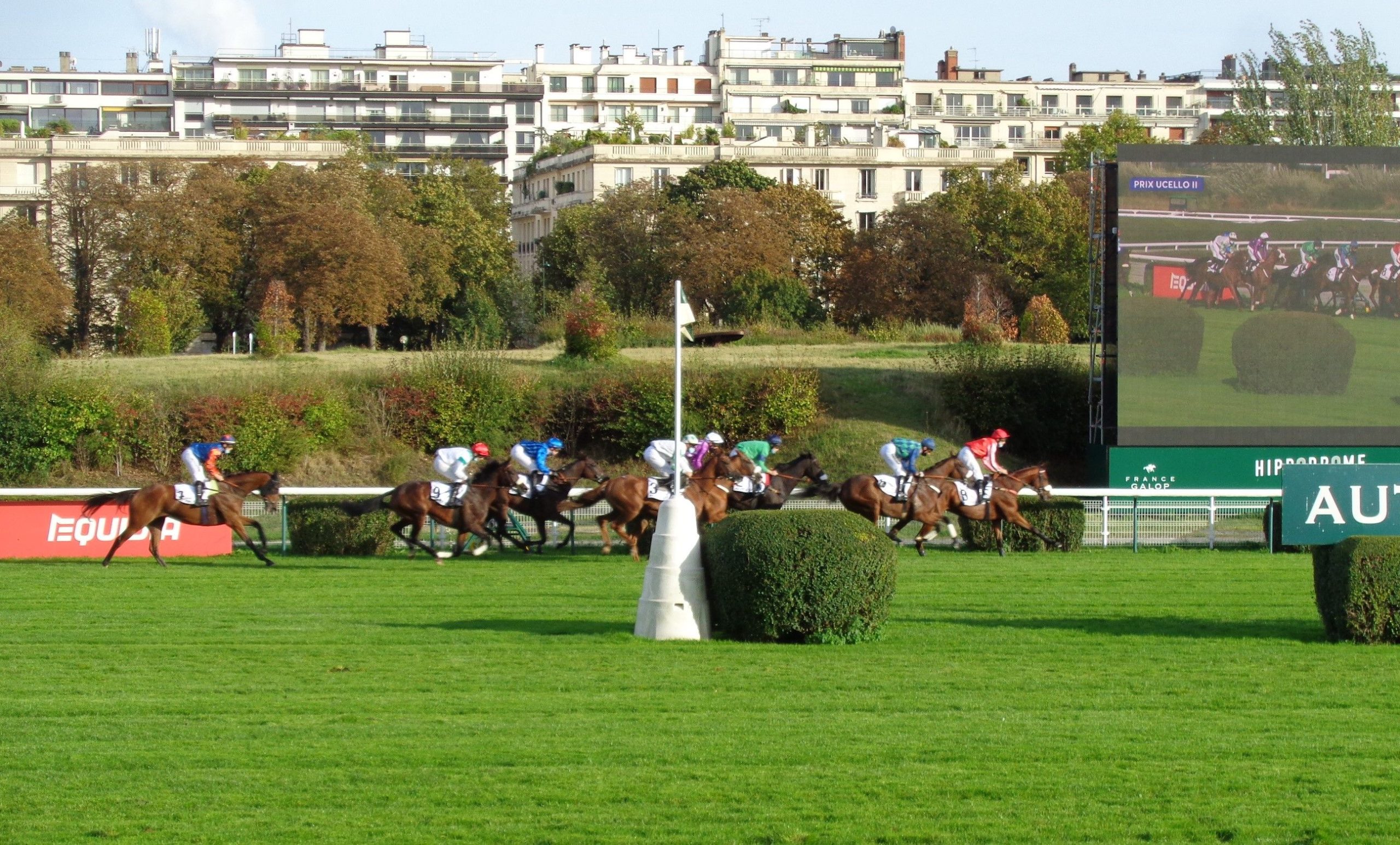 Une seconde vie leur est possible…