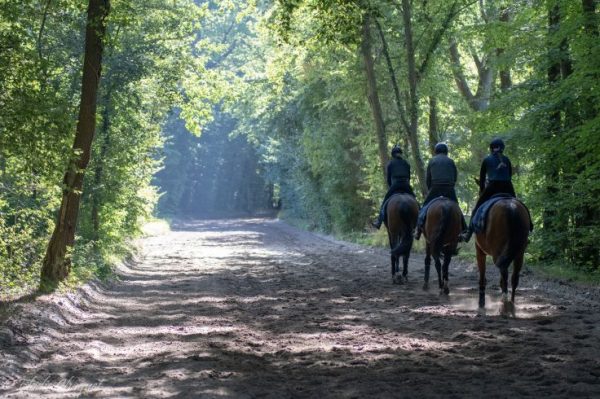 Chantilly présente son Prix de Diane 2021