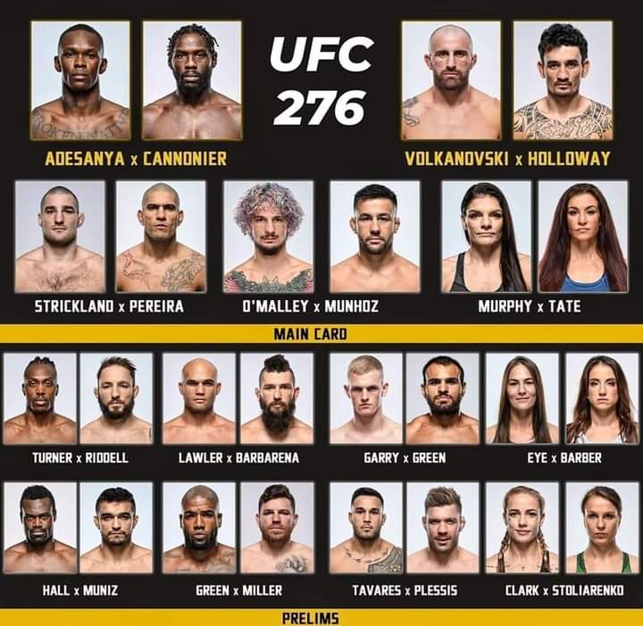 UFC 276 : Présentation des affiches