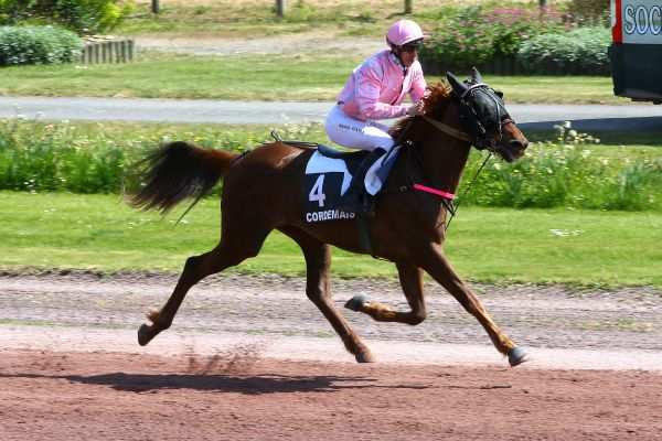 Pronostics Turf du 17/06/2022