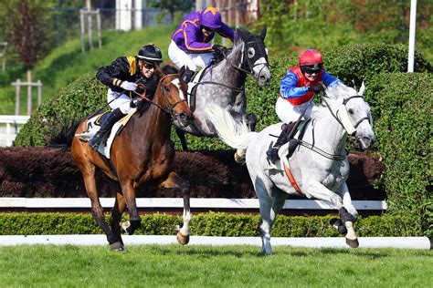 Pronostics Turf du 18/06/2022