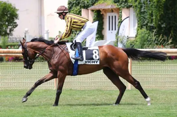 Pronostics Turf du 19/07/2022 : nos chevaux repérés pour Vichy (R1) et Saint-Malo (R2)