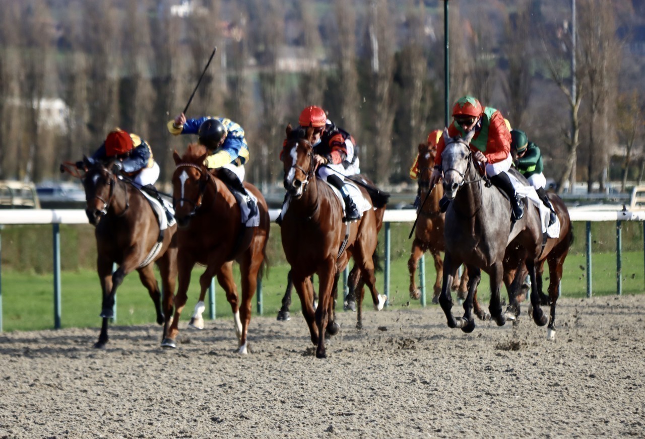Pronostics Turf du 11/08/2022 : nos outsiders préférés pour Deauville (R5)