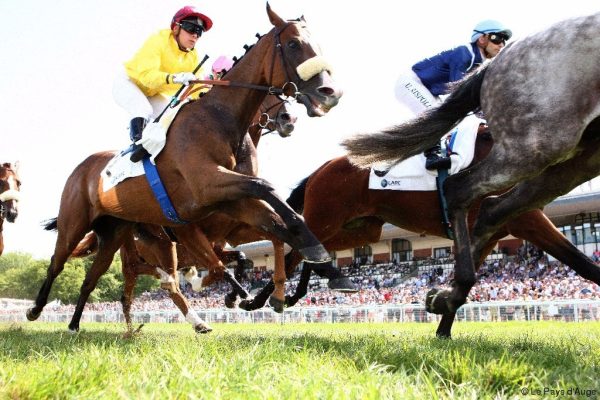 Pronostics Turf du 02/08/2022 : nos chevaux repérés pour Deauville (R1)