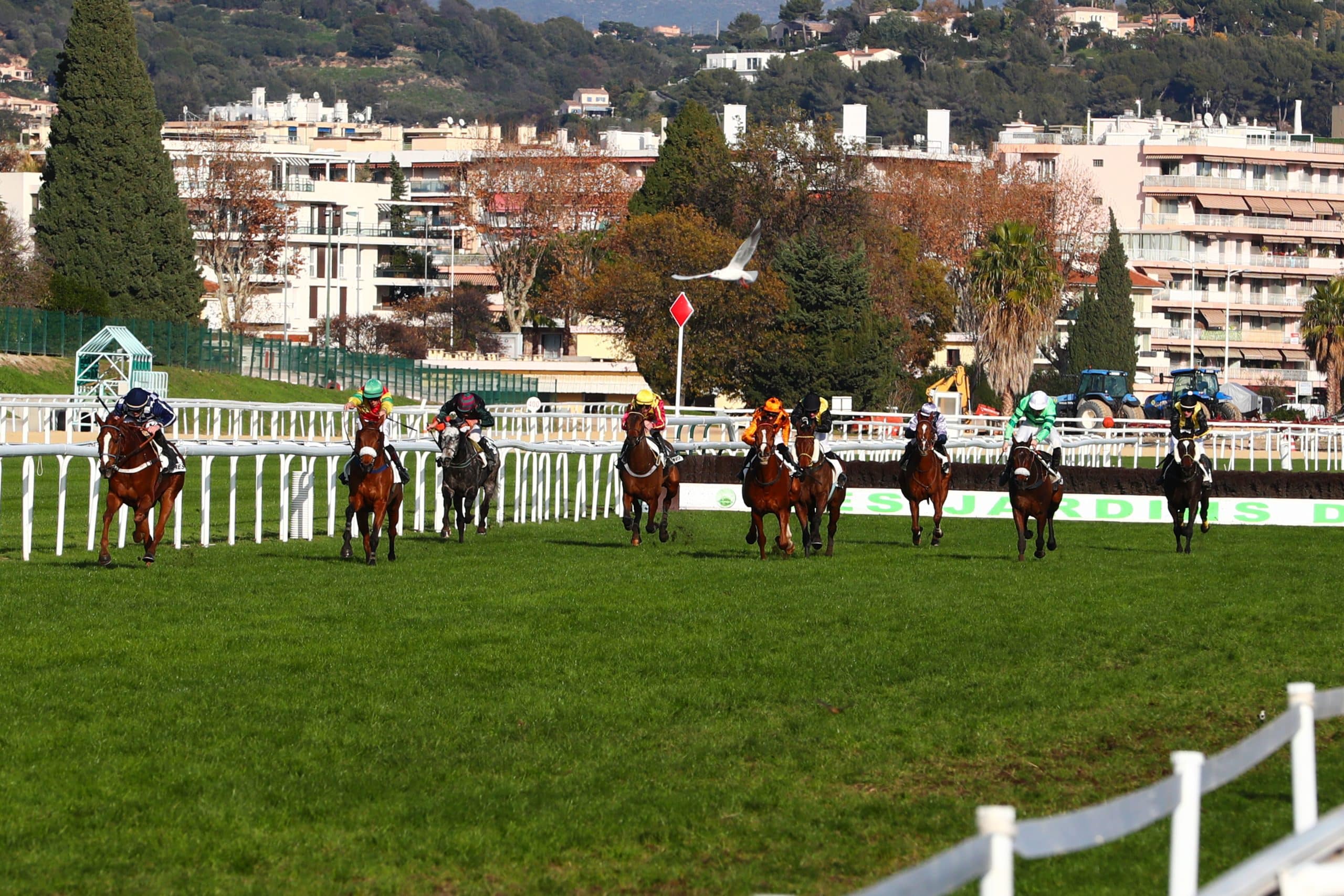 Pronostics Quinté+ PMU et analyse de la course du jour