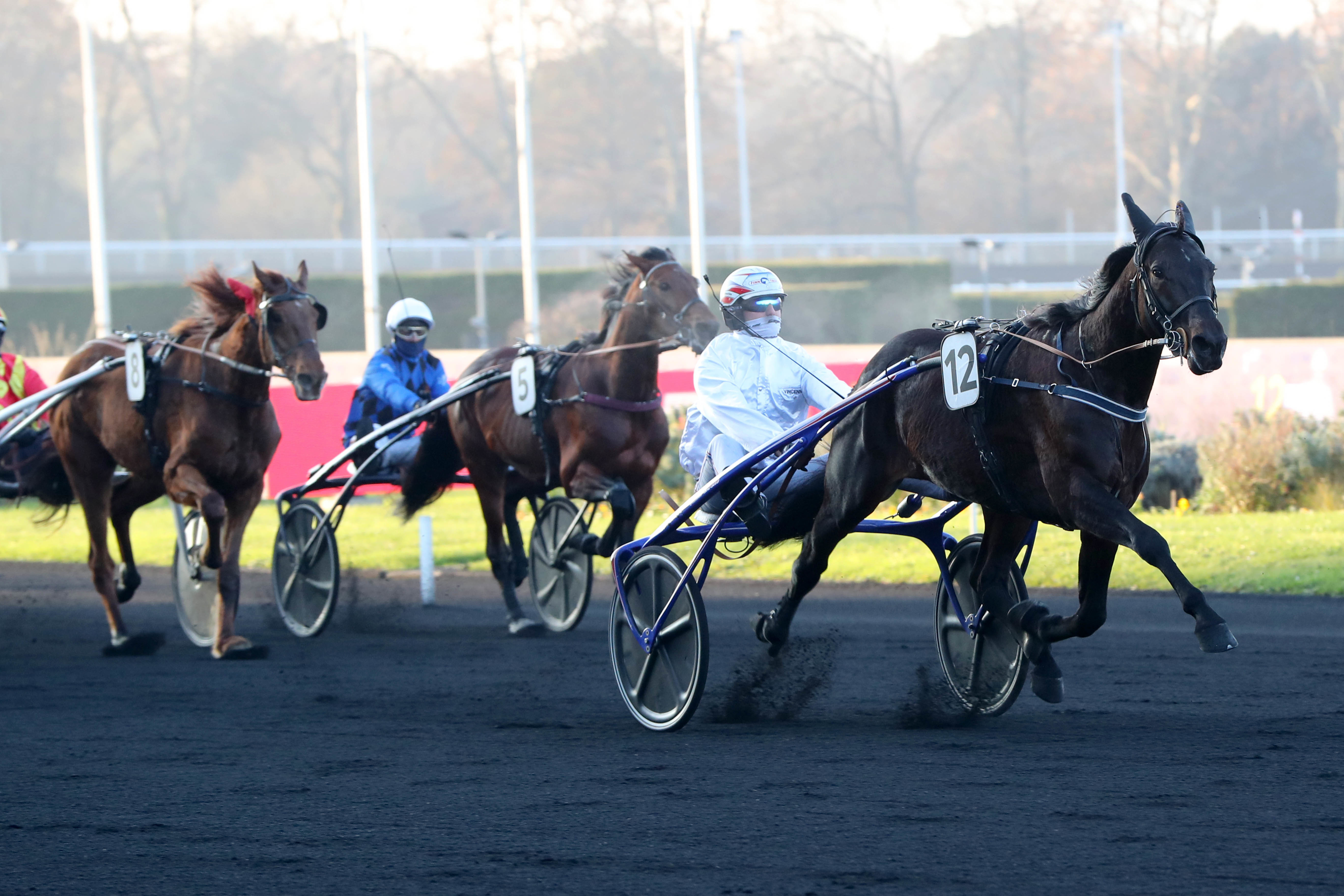 Quinté+ PMU : le pronostic de la rédaction sur la course du jour