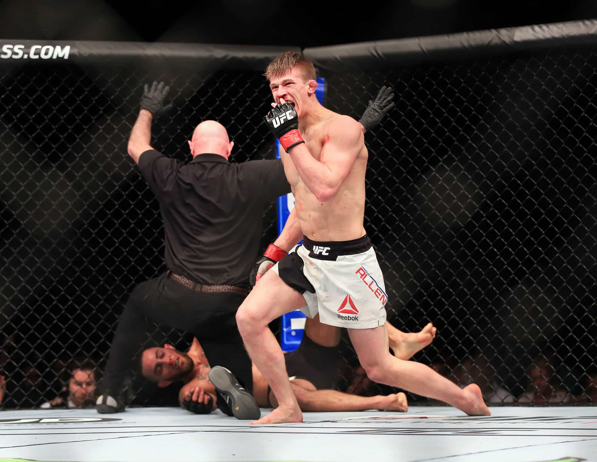 Preview UFC Holloway vs Allen