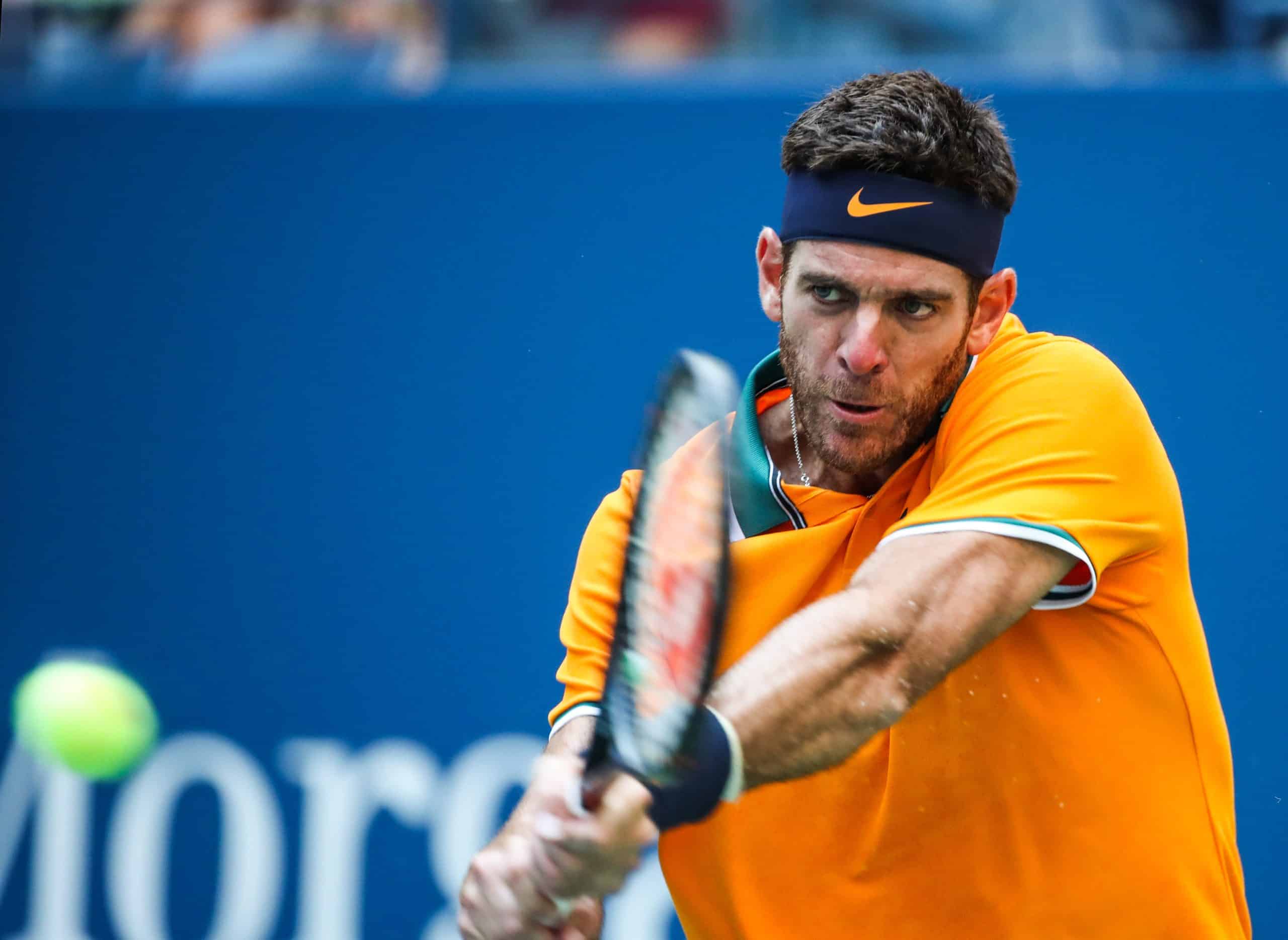 ATP : Juan Martin del Potro bientôt de retour ?