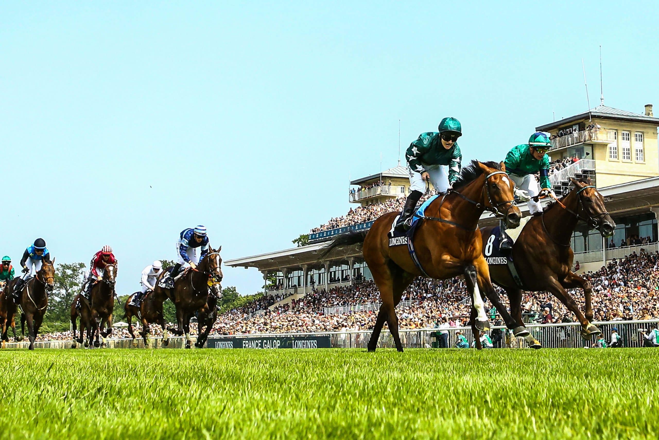 Tout comprendre de la hiérarchie dans les courses de chevaux