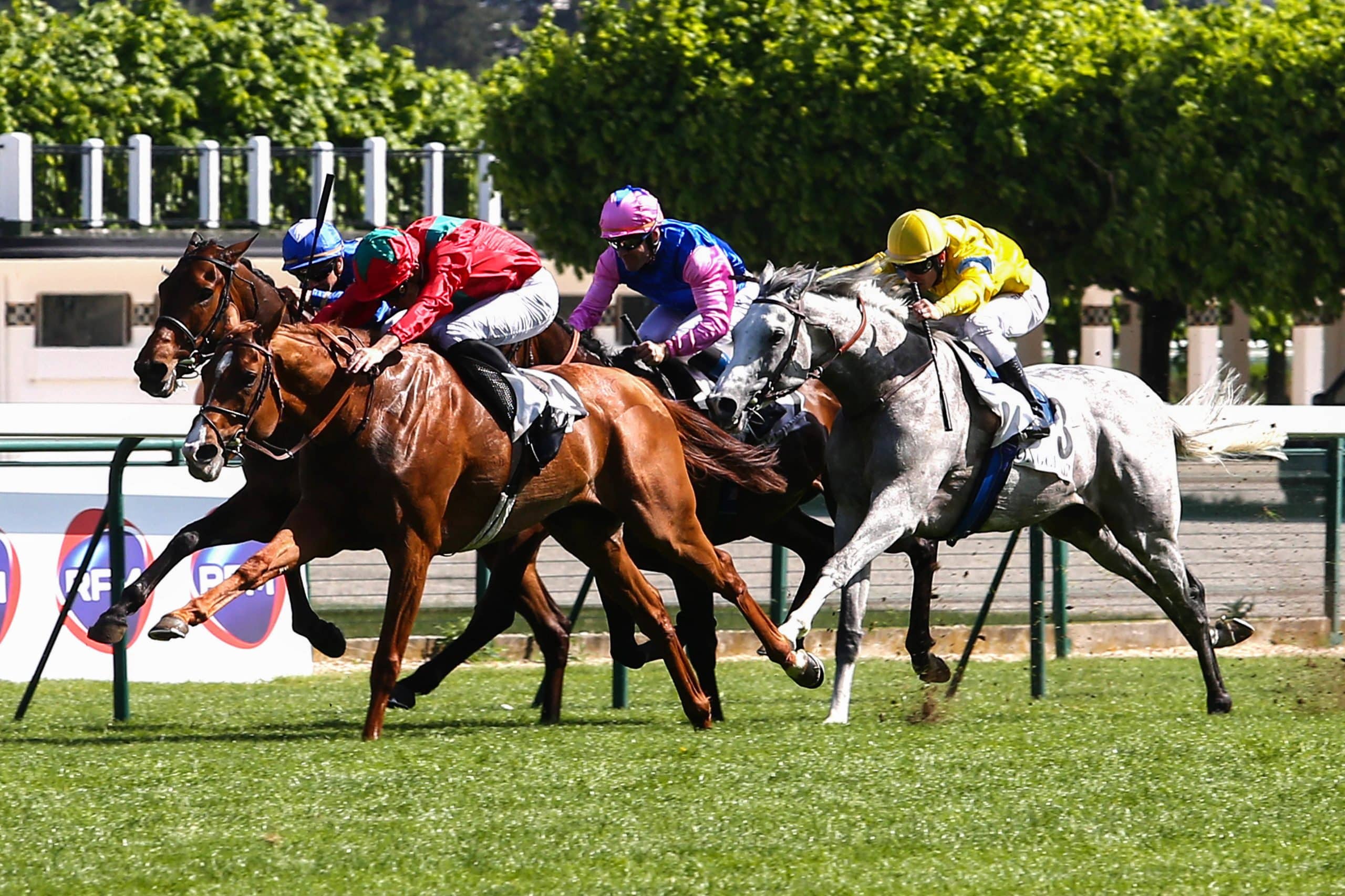 Quinté PMU : Résultat, arrivée et rapports de la course