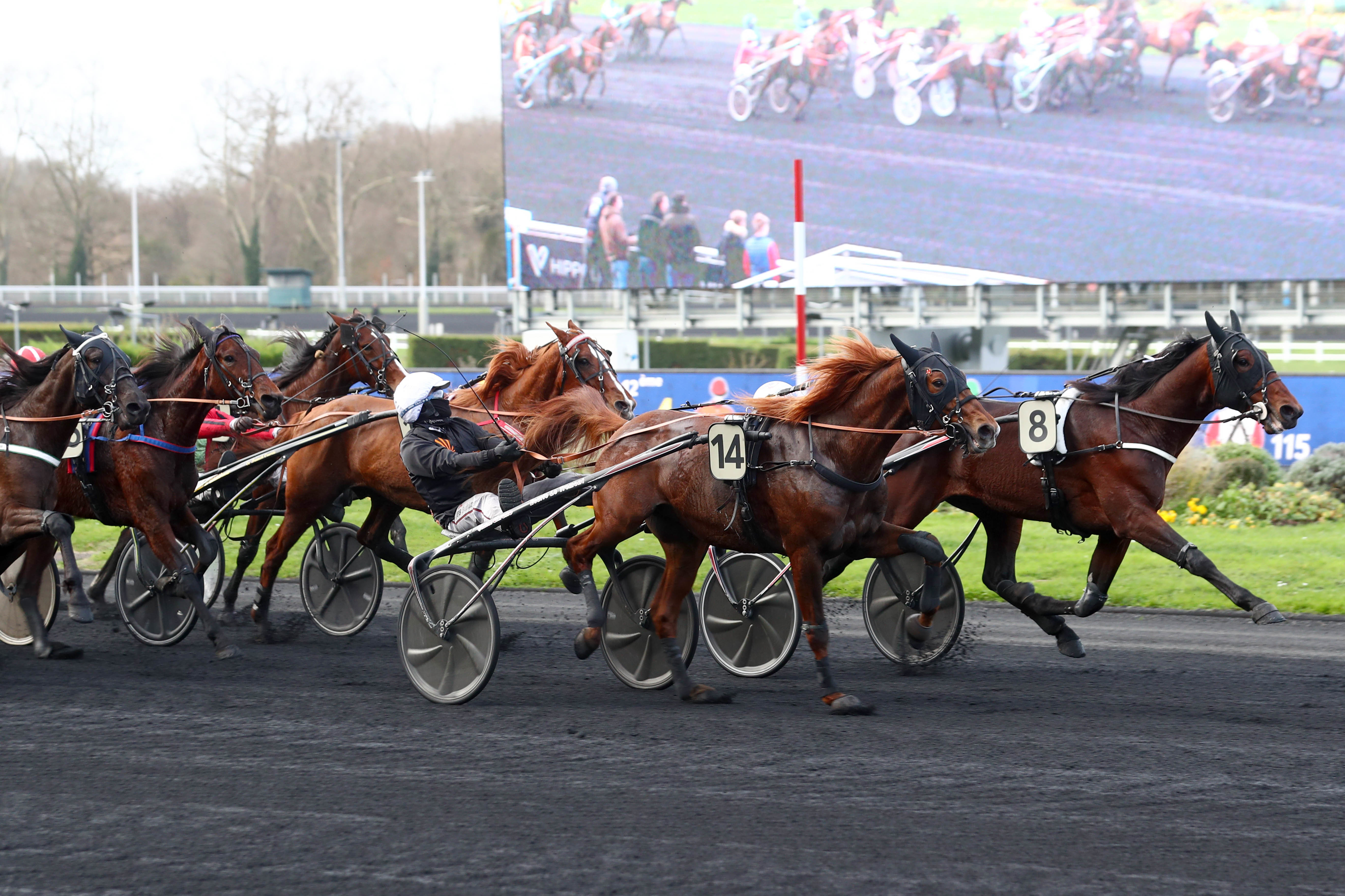 Prix d’Amérique 2024 : Programme, Partants, Heure et TV