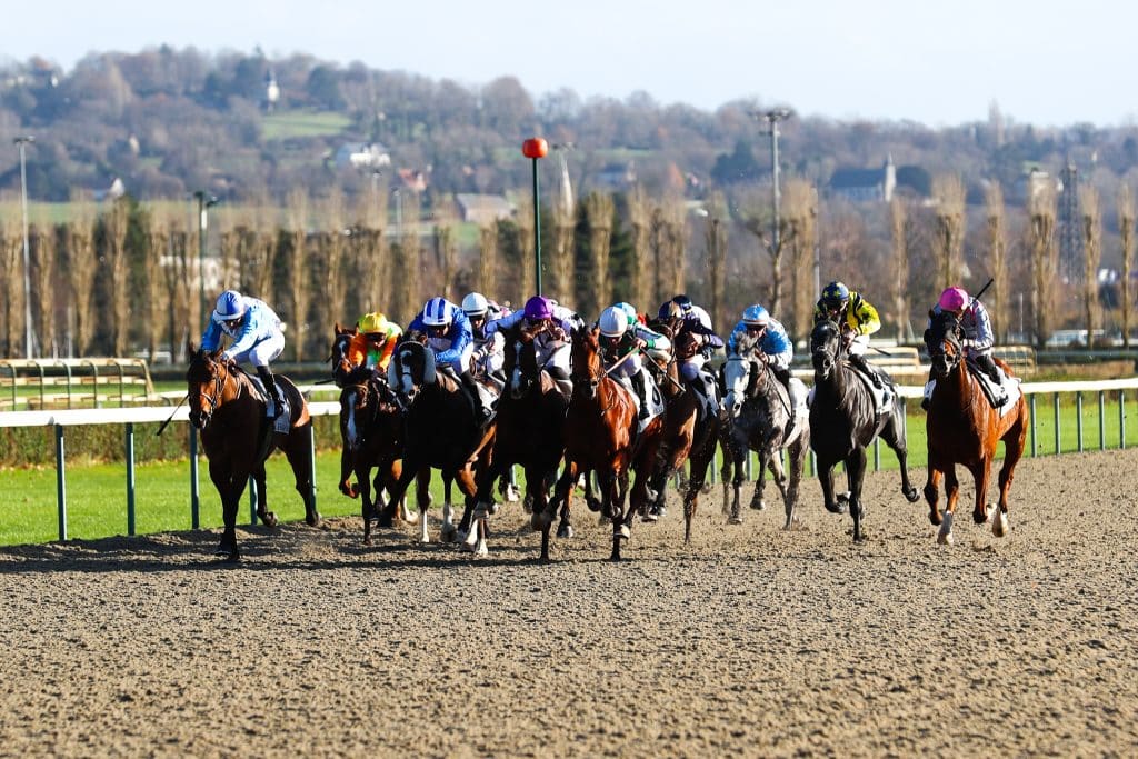 ZEturf Wedden op paarden