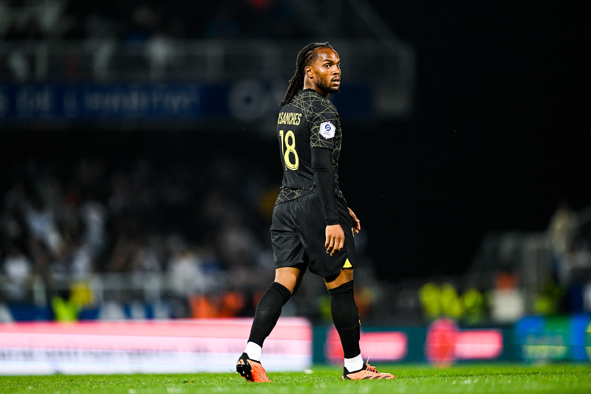 Mercato – Roma : La Louve pousse pour le milieu parisien !