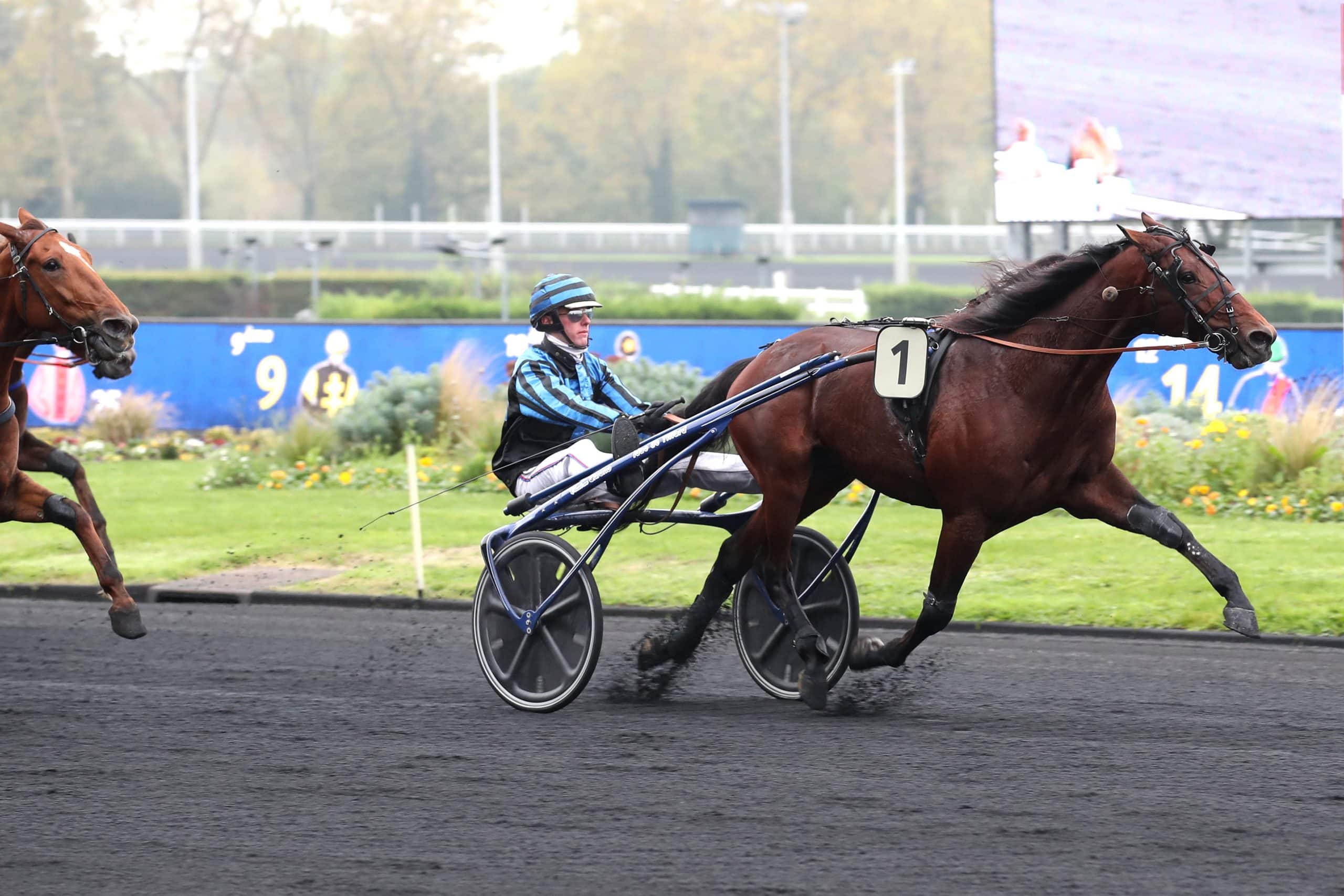 Vincennes : RDV exceptionnel des Critériums PMU ce dimanche