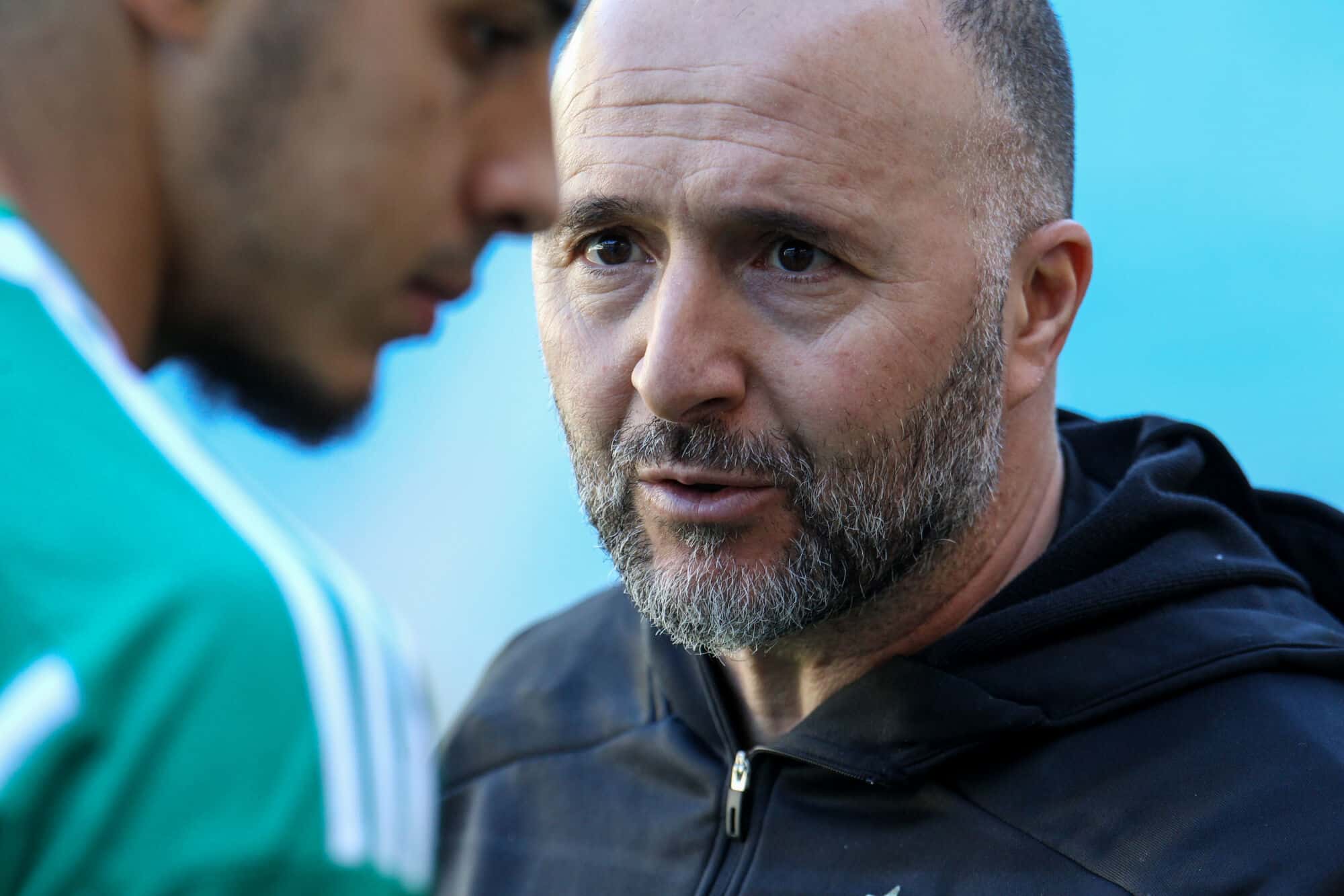 Égypte – Algérie : Belmadi à deux doigts d’en venir aux mains avec l’un de ses joueurs ! (Vidéo)