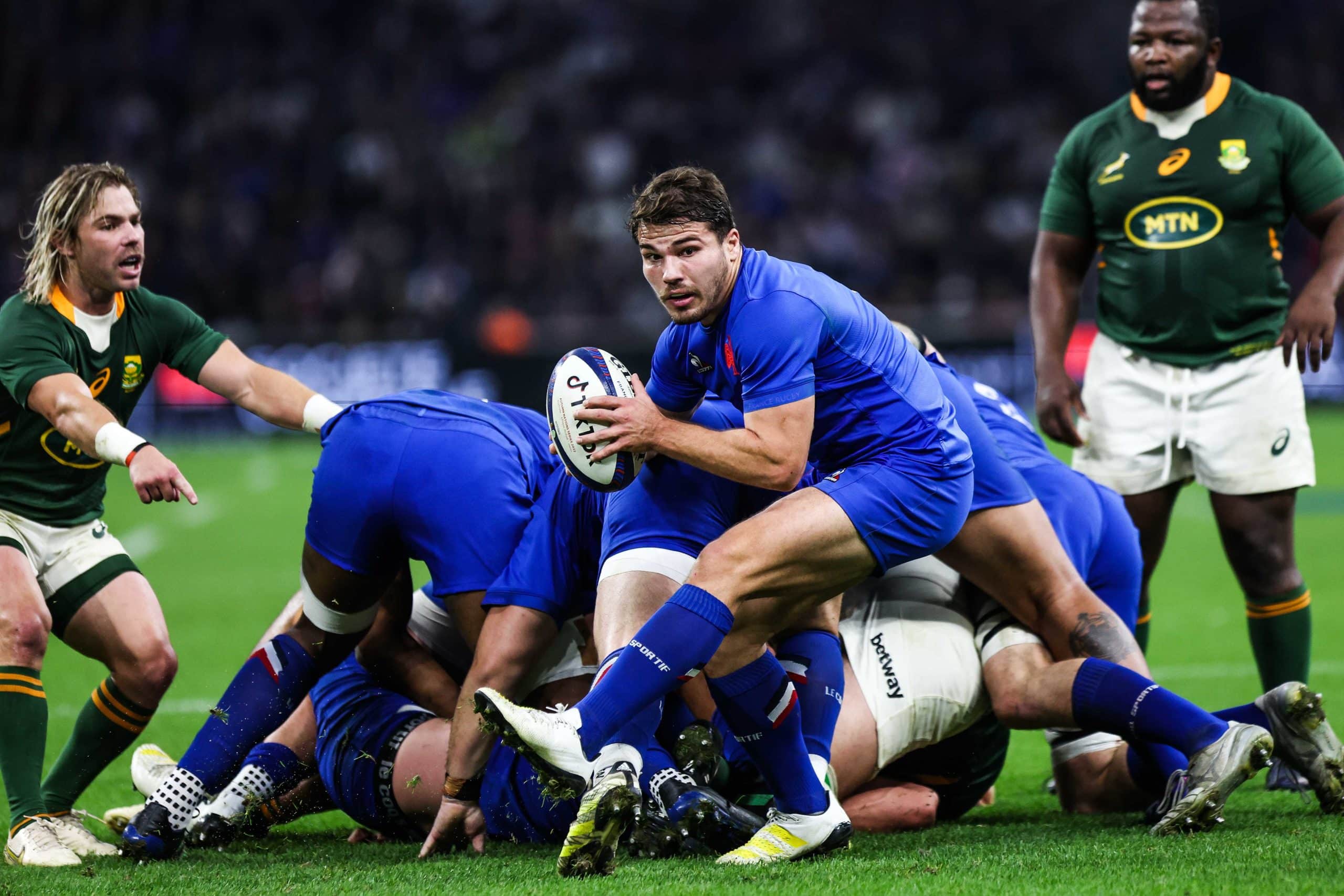 XV de France – Afrique du Sud : Antoine Dupont cible des Springboks ?