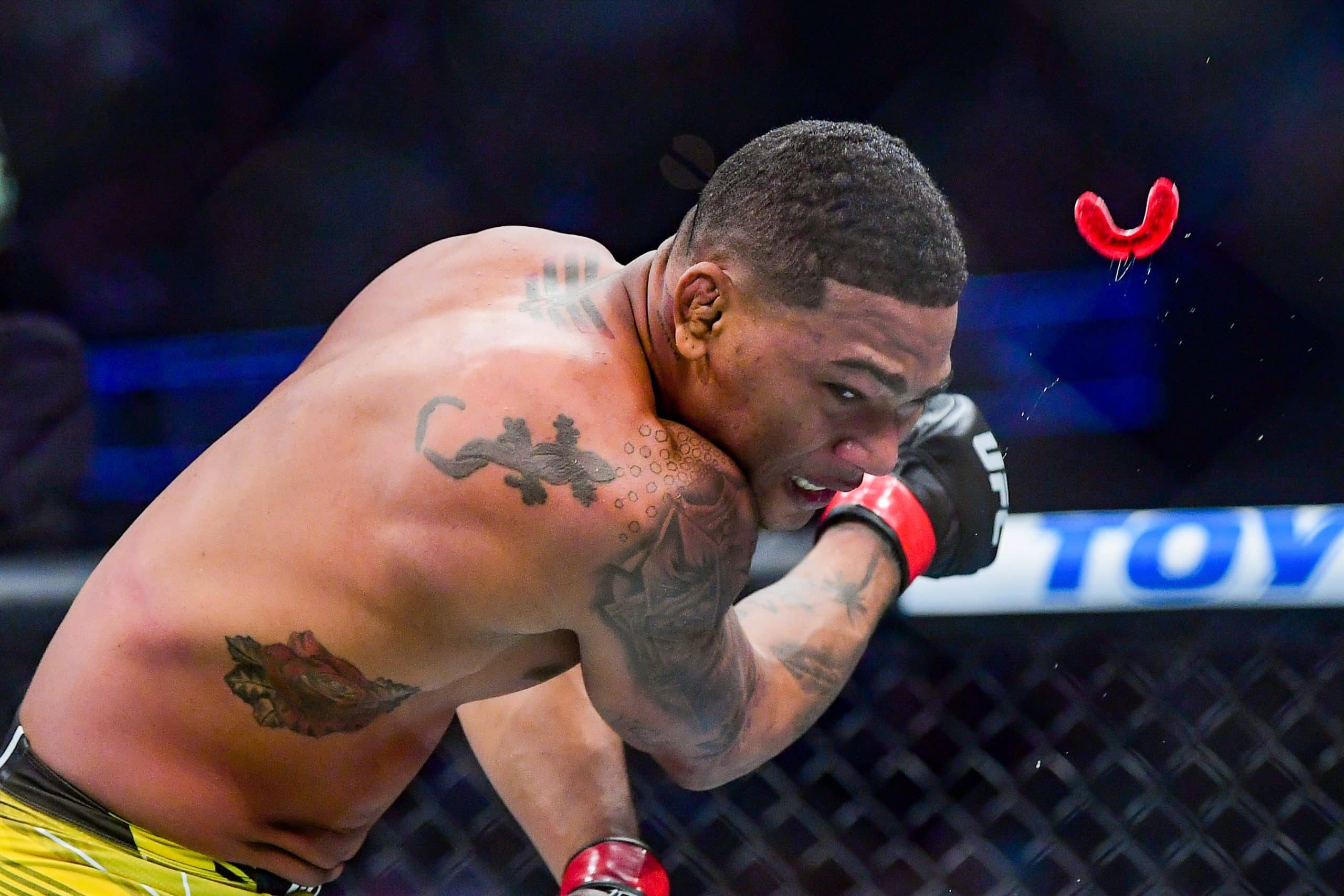 UFC Fight Night (Allen vs Craig) : les résultats de la soirée (vidéos)