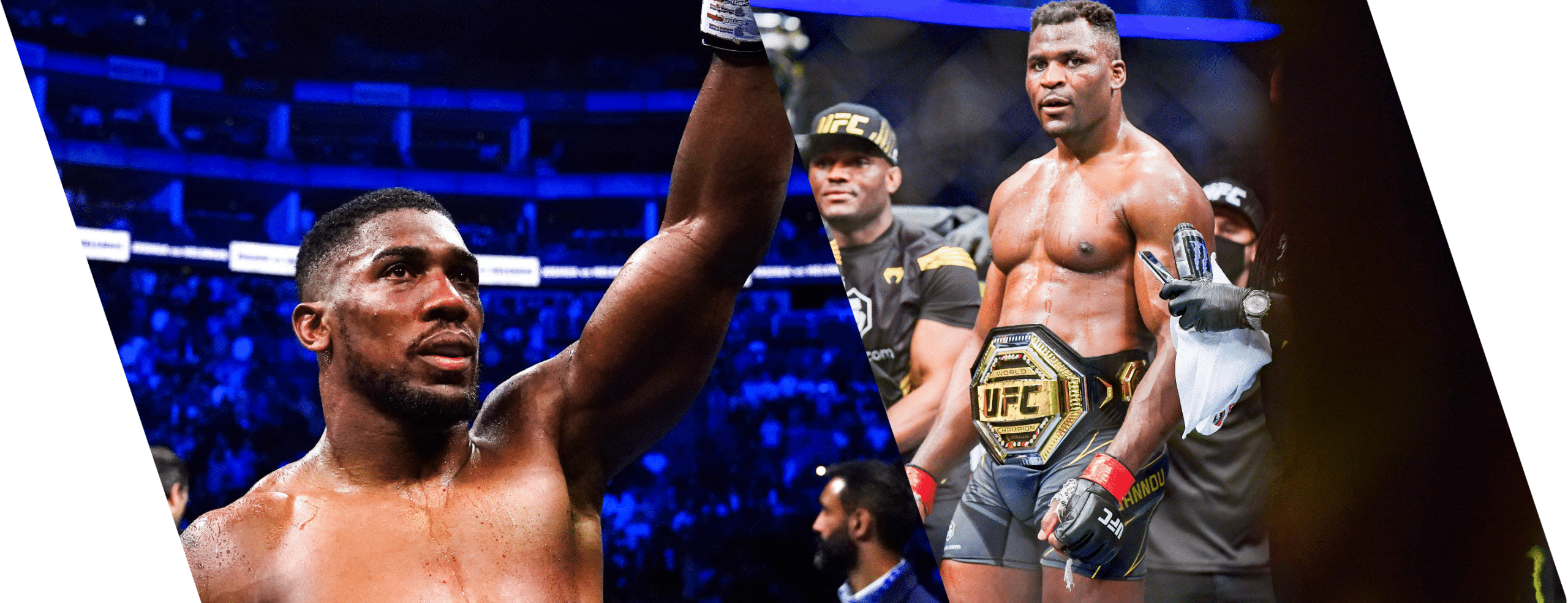 Boxe : Ngannou va affronter Joshua (Officiel)