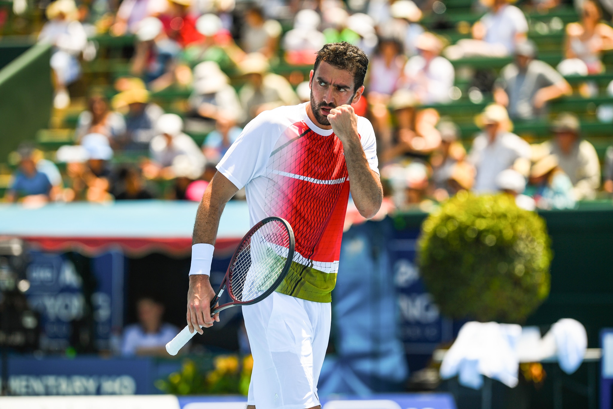 Tennis : Marin Cilic, 777e mondial, joueur le plus mal classé à gagner un tournoi ATP